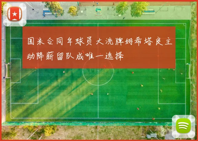 国米合同年球员大洗牌姆希塔良主动降薪留队成唯一选择